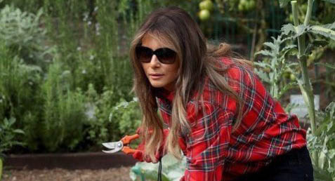 باغبانی جنجالی ملانیا ترامپ با لباس 600 دلاری! + عکس