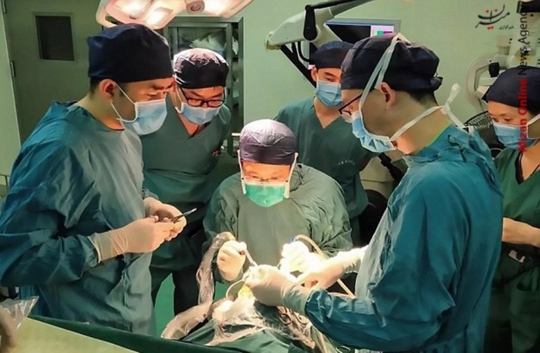 کارگر ساختمانی بعد از یک حادثه عَجیب زنده به ماند + عکس+ 16