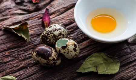 رشد قدی و زیبایی جنین را با این غذا چندین برابر کنید 