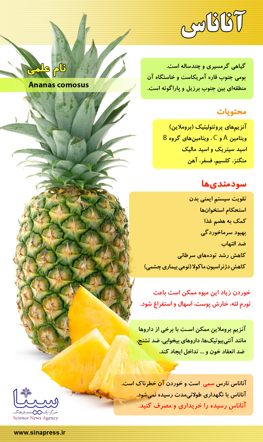 دانستنی هایی در مورد آناناس 