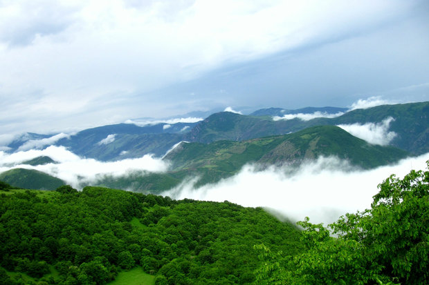 ساکنان جنگل حافظ آن باشند/ بحران آب باید رسانه ای شود