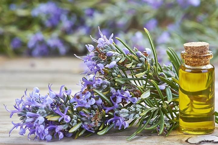 گیاهی که سیستم دفاعی بدنتان را ضدضربه می کند 