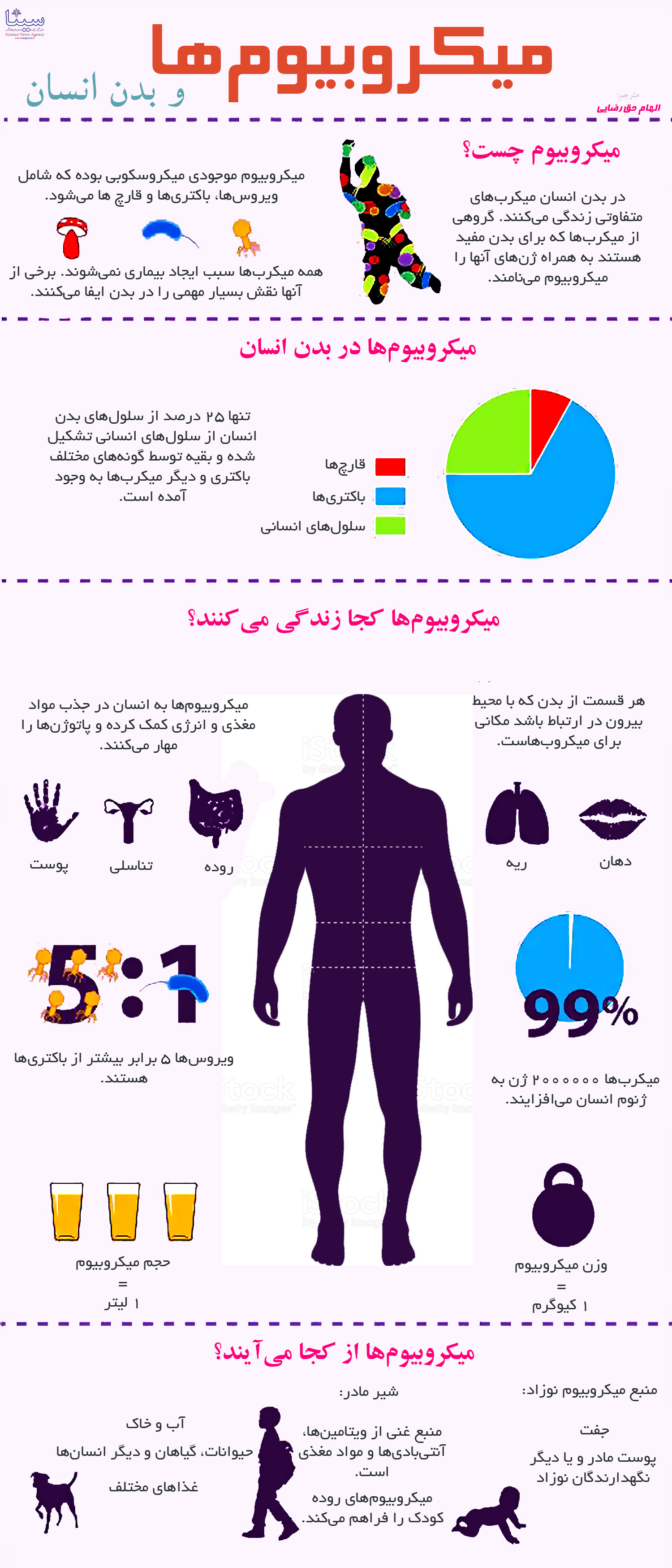 اینفوگرافیک/ چرا برای ادامه زندگی به میکروب ها نیاز داریم؟