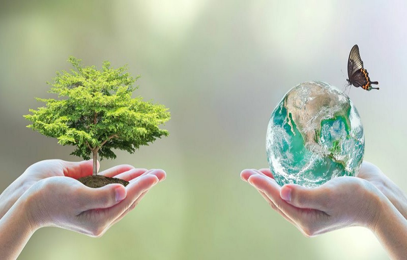  چطور به پاک شدن محیط زیست کمک کنیم؟