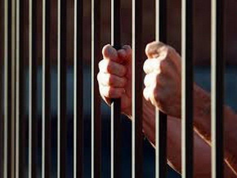 هفت شکارچی خارجی متخلف دستگیر شدند