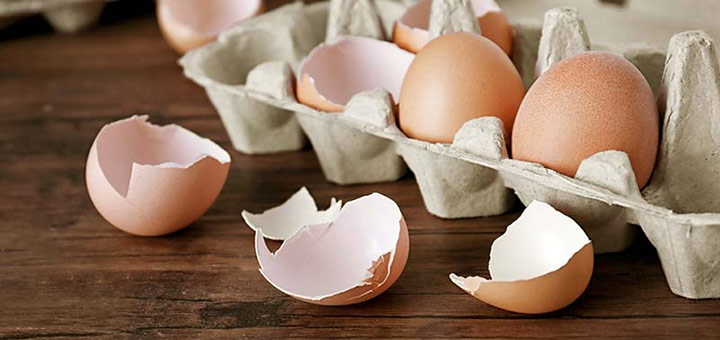 پوست تخم مرغ را دور نریزید 
