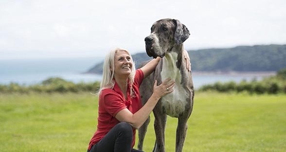  بزرگ ترین سگ دنیا / تصاویر 