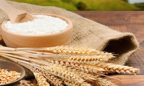 سویق چیست+خواص شگفت‌انگیز سویق در روایات و طرز تهیه