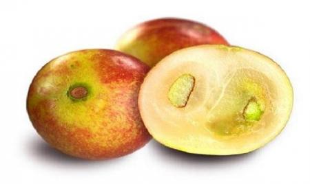 میوه ای که لاغرتان می کند