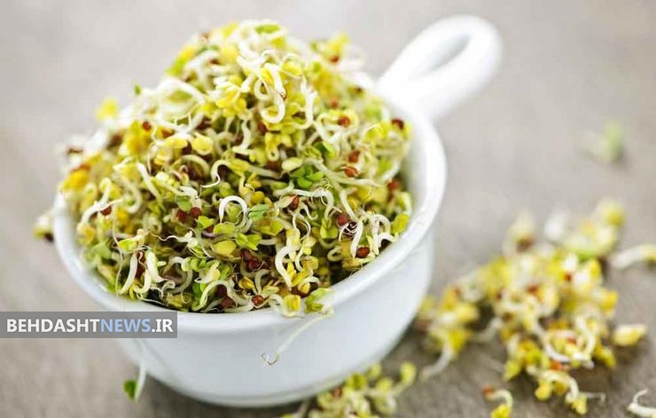 کدام مواد غذایی نباید به صورت خام مصرف شوند؟
