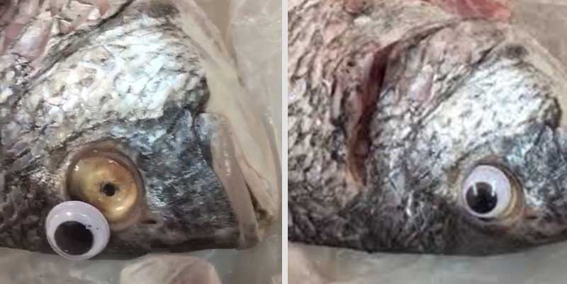 حیله یک ماهی‌فروش برای تازه نشان دادن ماهی + عکس