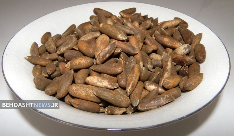 خواص شگفت‌انگیز چلغوز