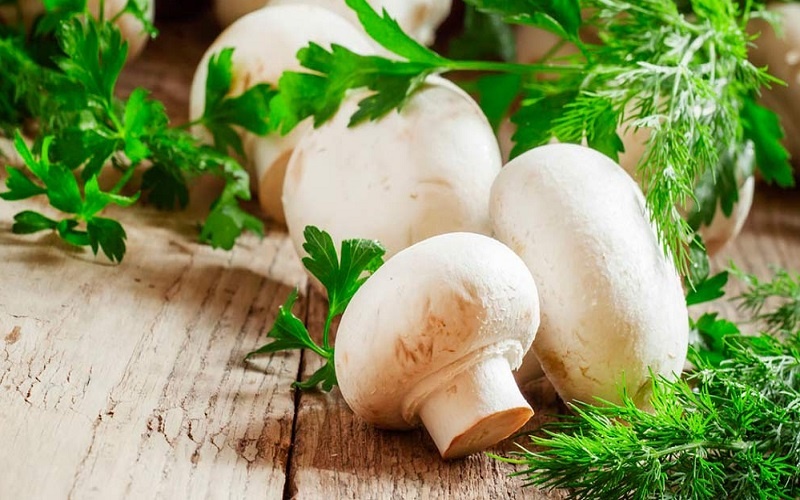 بیماری هایی که با مصرف قارچ به سراغتان می آید 