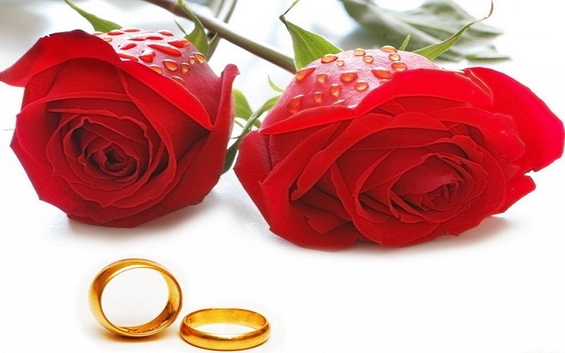 اگر قصد ازدواج دارید به این امام بزرگوار متوسل شوید