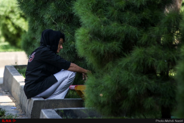 اینجا زن و مرد دراز به دراز افتاده‌اند+تصاویر