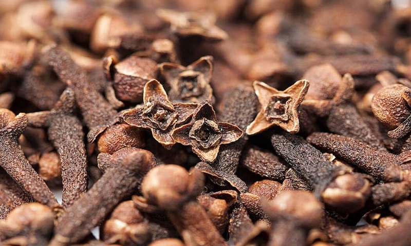  خواص گل میخک در طب سنتی + عوارض و نحوه مصرف