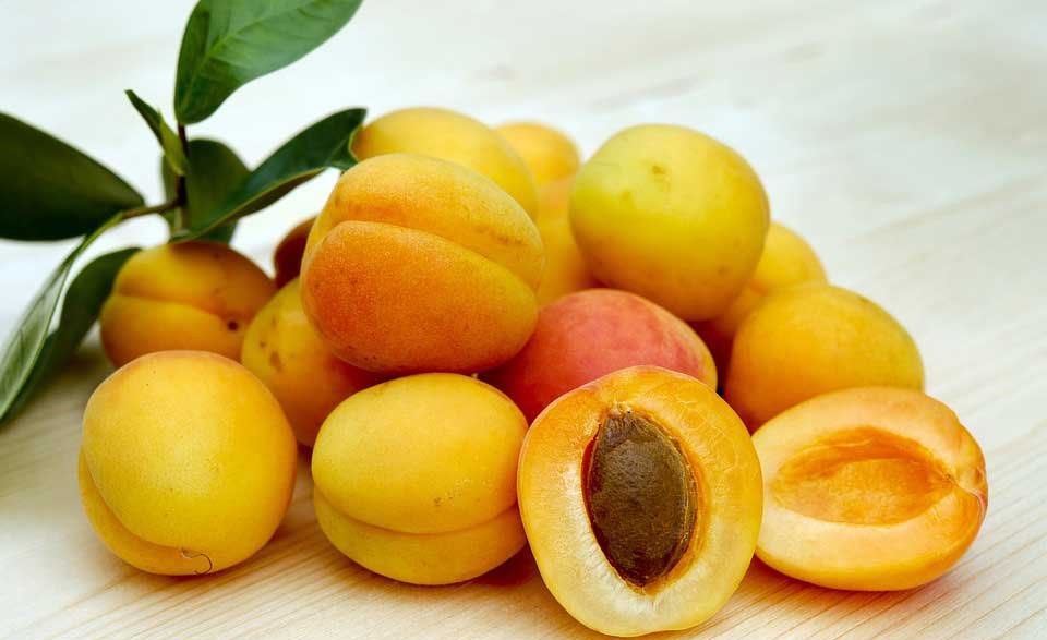  با خوردن هسته این میوه ها مرگ را به جان می خرید