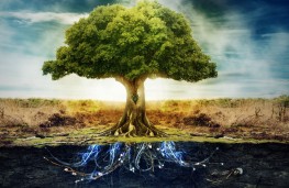  درخت حیات متحول می شود 