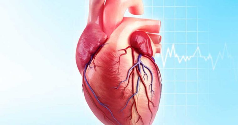 نشانه‌های خاموش گرفتگی در سرخرگ‌ها