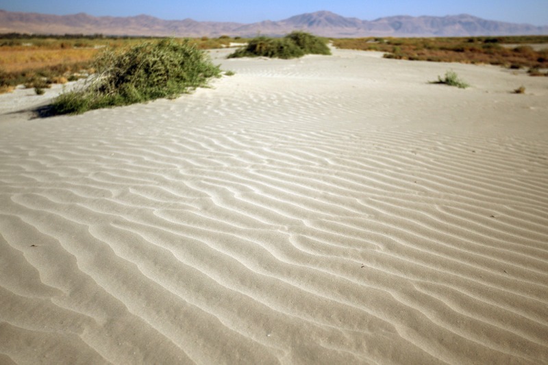 «دریاچه ارومیه» کانونی برای تولید گرد و خاک شد