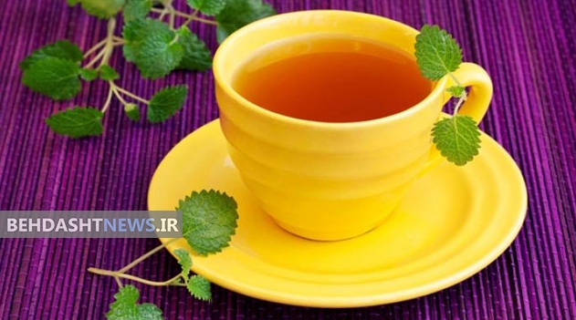 آشنایی با چای بادرنجبویه و چای رویبوس از منظر طب سنتی