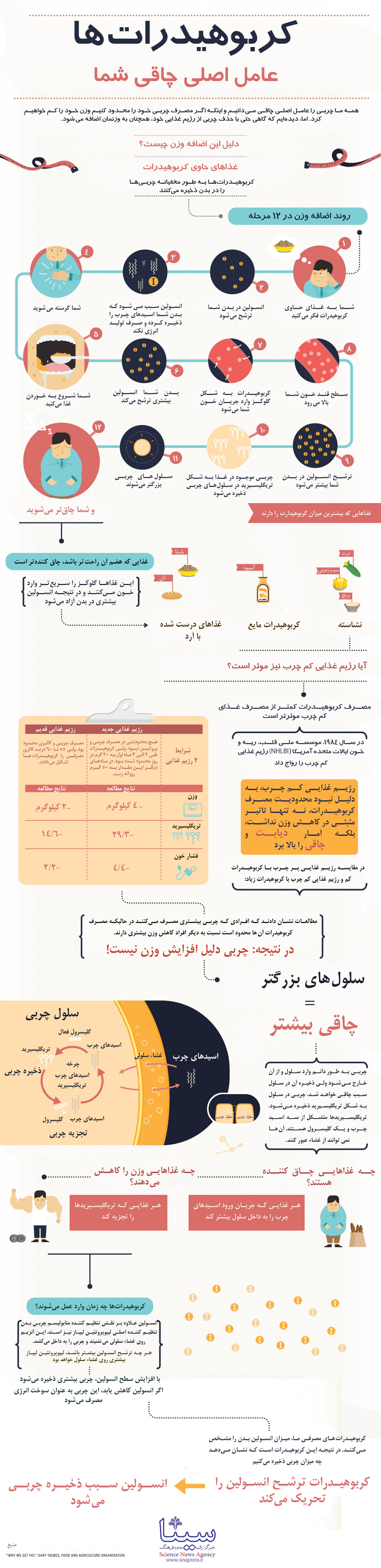 اینفوگرافیک/ عامل اصلی چاقی شما چیست؟