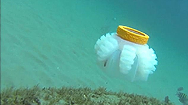 روبات عروس دریایی؛ نگهبان جدید اقیانوس‌ها+ تصاویر