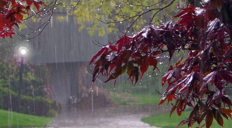 بارندگی ها در کشور تا چهارشنبه ادامه دارد