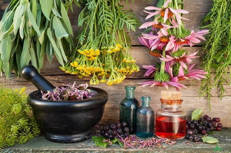  11 مسکن گیاهی در طب سنتی 