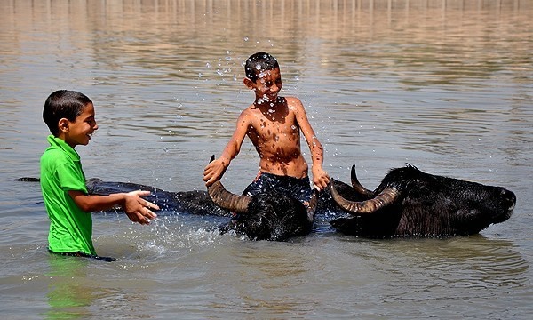 خطر ابتلا به بیماری وحشتناک با شنا در کارون 