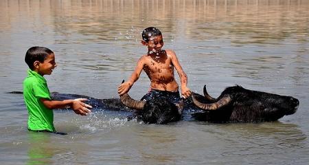 خطر ابتلا به بیماری وحشتناک با شنا در کارون 