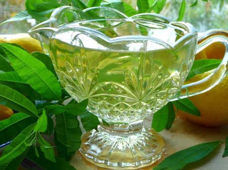 دمنوش هایی که سلاح های طبیعی سرطان هستند