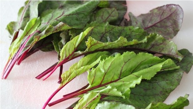 خواص خارق العاده برگ چغندر+نحوه آب‌گیری برگ چغندر