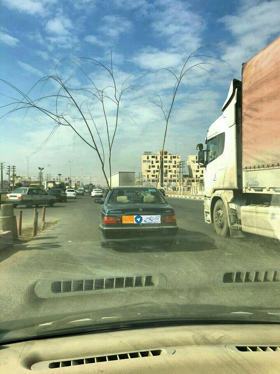 حمل درخت با پرشیا! +عکس