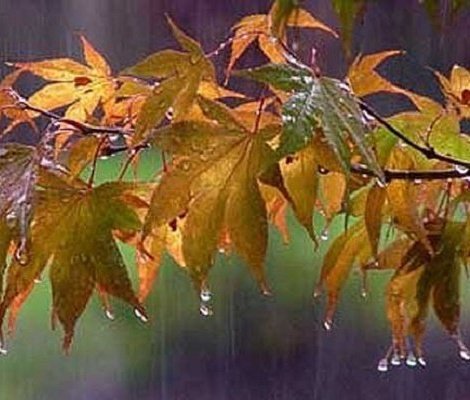 کاهش 15 درجه‌ای دما در نوار شمالی کشور