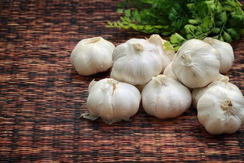خوردن سیرخام مفیدتر است یا سیر پخته؟