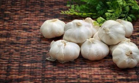 خوردن سیرخام مفیدتر است یا سیر پخته؟