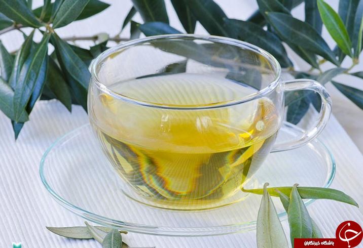 طرز تهیه چای منحصر به فرد برگ زیتون + خواص 