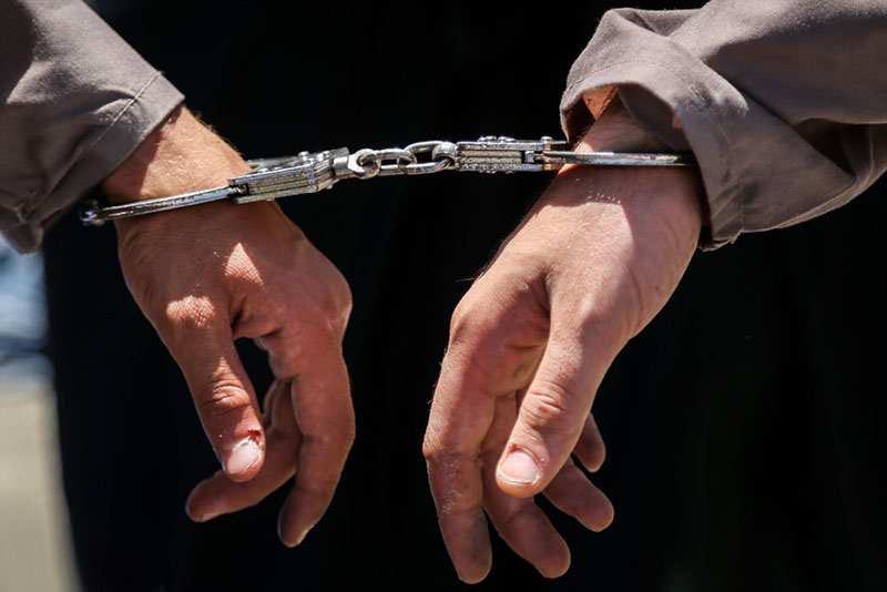 شکارچیان کل در کنگان دستگیر شدند