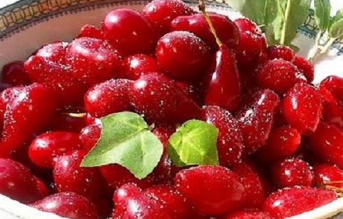 با این گیاهان فوری لاغر شوید