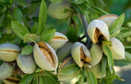 راهی برای رفع خواب آلودگی هنگام مطالعه