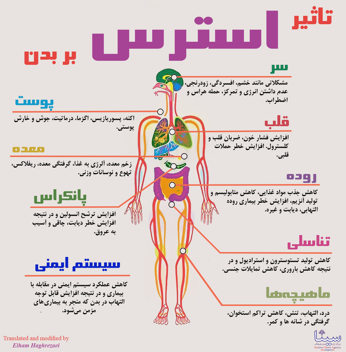اینفوگرافیک/ استرس چه بلایی بر سر بدن می آورد؟
