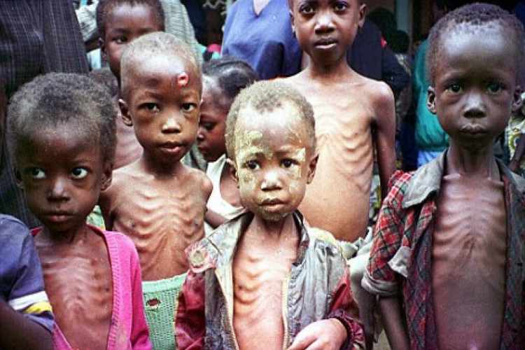 820 میلیون گرسنه در جهان زندگی می کنند