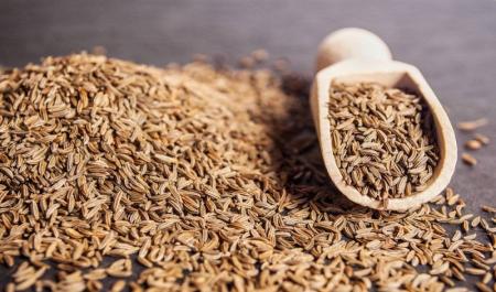  با پرخاصیت ترین خوراکی  ریزه میزه آشنا شوید
