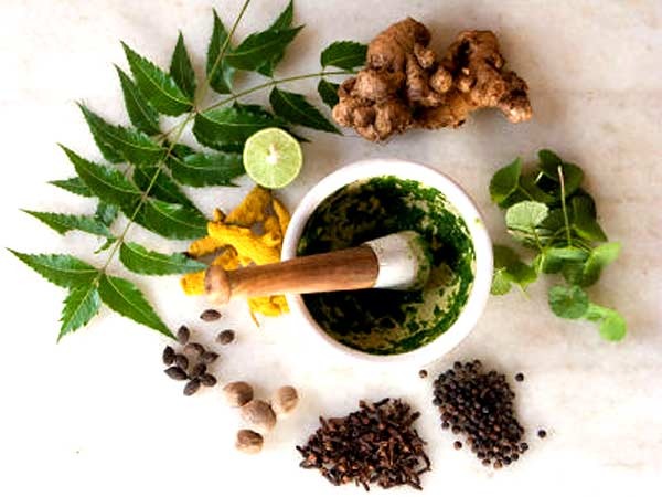  توسعه استفاده از داروهای گیاهی با قرارگیری آن‌ها در فهرست رسمی داروهای کشور 