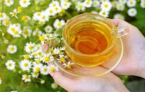 تأثیر معجزه‌آسای بابونه در درمان سرماخوردگی