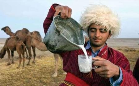 خواص فوق العاده شیر شتر برای زیبایی و درمان بیماری ها
