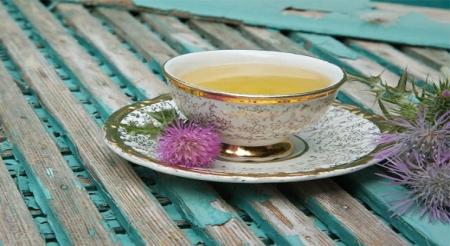 خداحافظی با کبد چرب با گیاهان دارویی