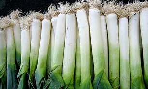 با برگ تره فرنگی میخچه  را از بین ببرید
