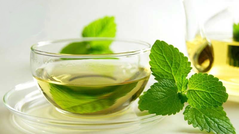 عرق نعنا خانگی و مطمن را با این دستور درست کنید